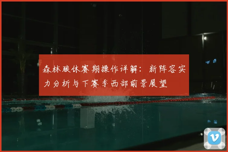 森林狼休赛期操作详解：新阵容实力分析与下赛季西部前景展望